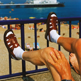 Martin Parr