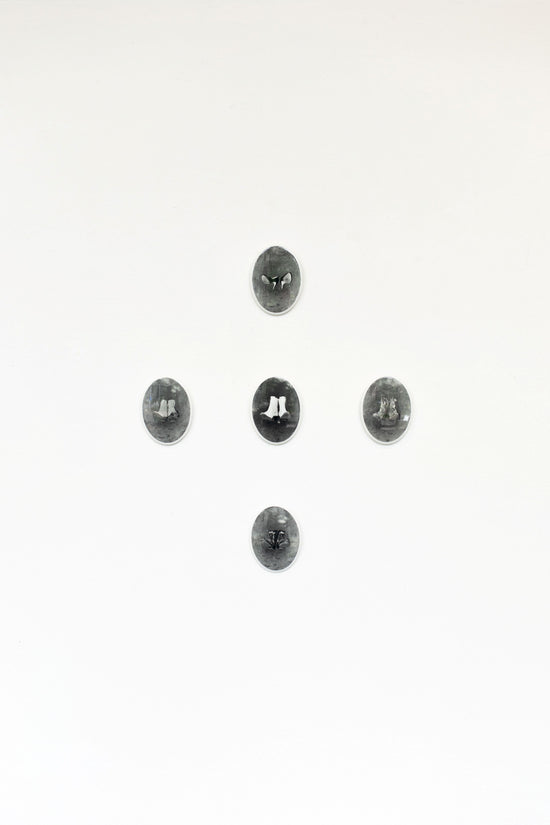 Oxytocin Killed My Shoes, 2024