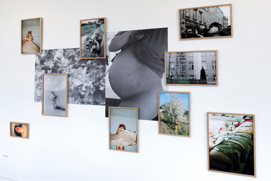 MAMALIA (Installation)