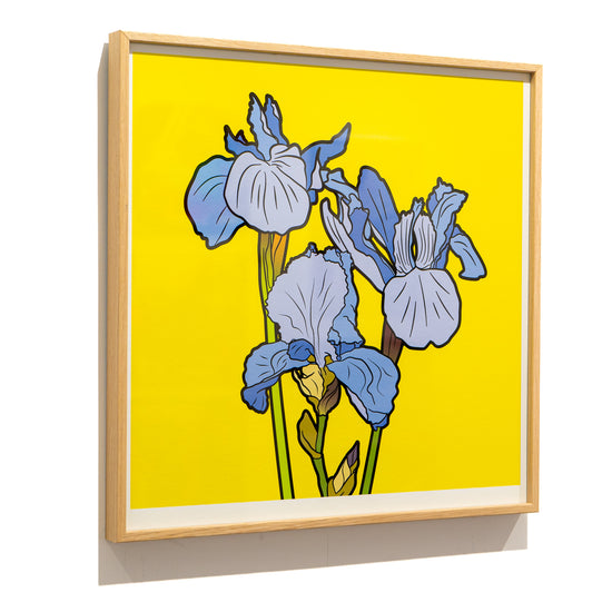 Framed Iris 28