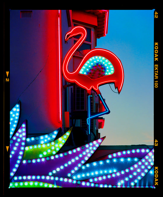 Neon Flamingo Norfolk, 2022