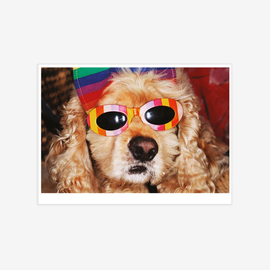 Venice Beach (Framed)