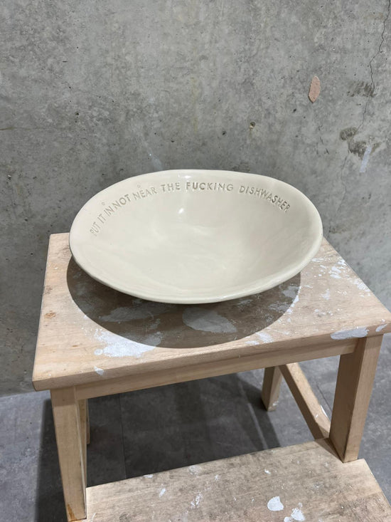 Put It In Not Near The Fucking Dishwasher