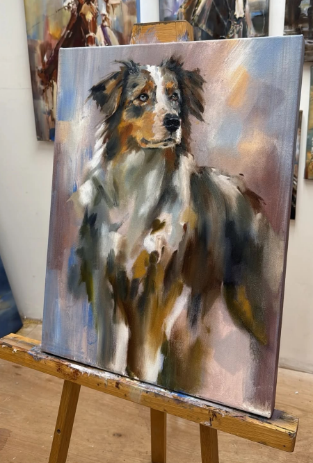 Blue Merle