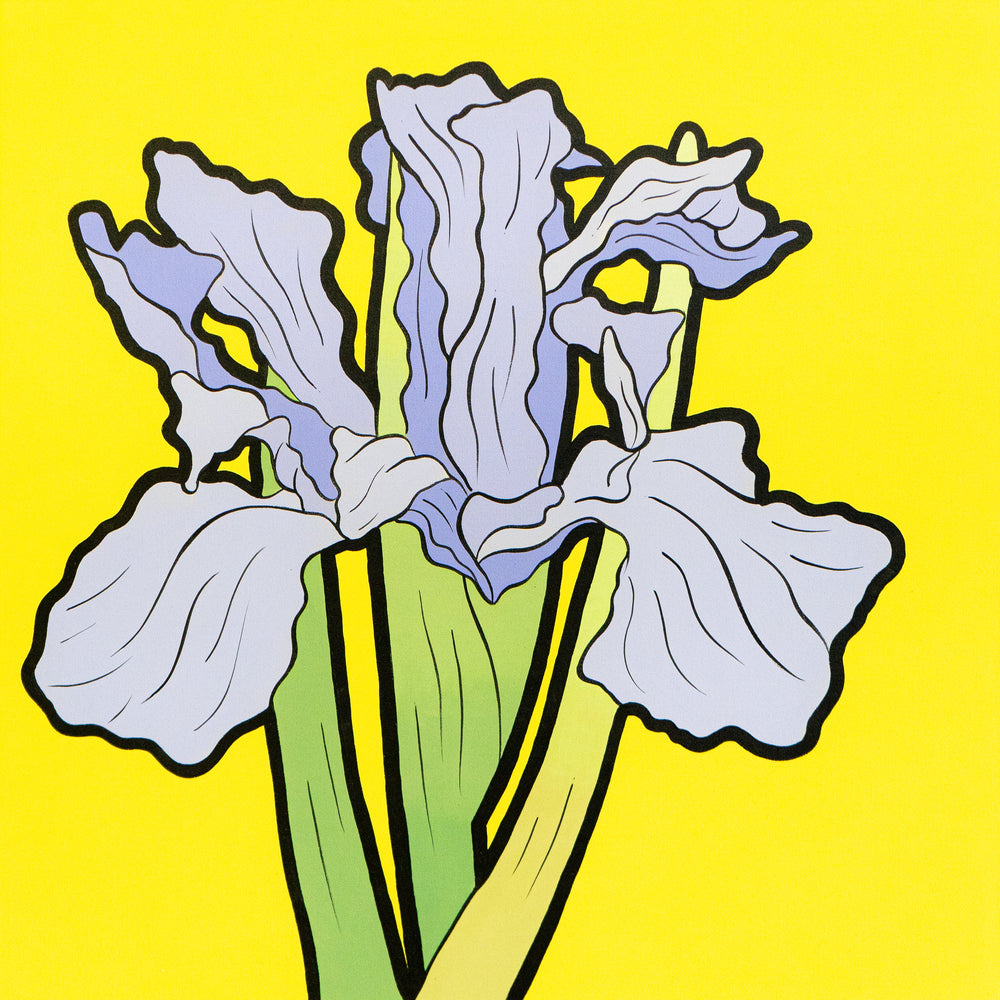 IRIS UPON IRIS UPON IRIS | Graphic Rewilding | Art Exhibition Brighton ...