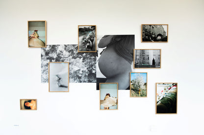 MAMALIA (Installation)