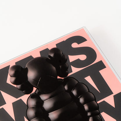 KAWS: WHAT PARTY - Black On Pink