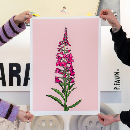 Framed Rosebay Willow Herb