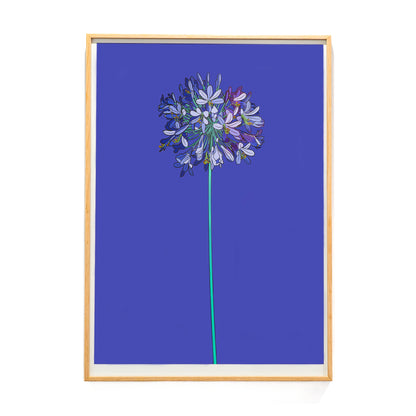 Framed African Lily