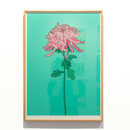 Framed Chrysanthemum 2