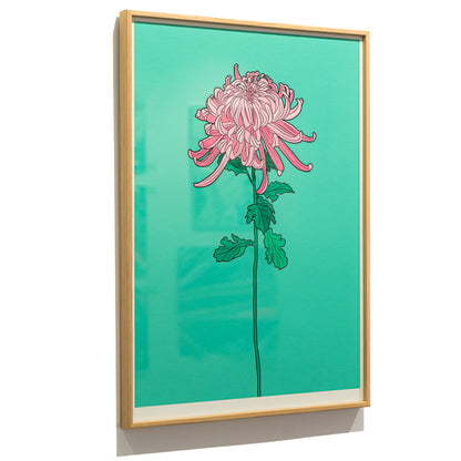 Framed Chrysanthemum 2