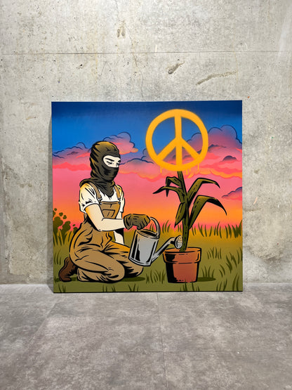 Growing Peace