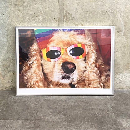 Venice Beach (Framed)