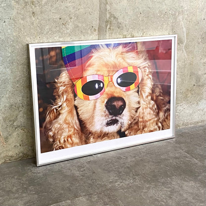 Venice Beach (Framed)