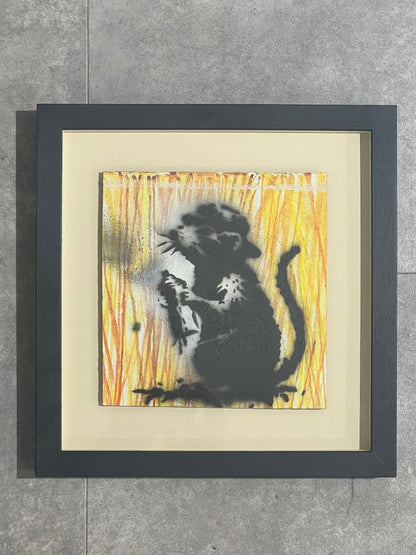 Spray Painting Rat