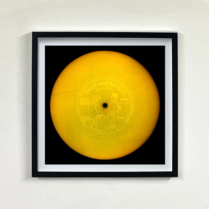 Vinyl Collection ‘Prohibited’ 2025